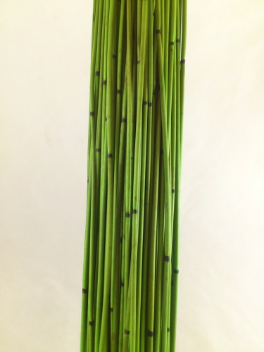 Bundle of reed 400 gr. 80 cm applegreen